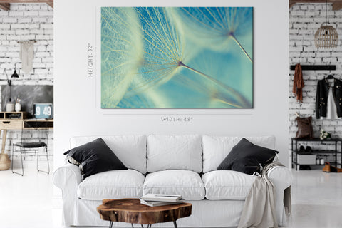 Canvas Print -  Dandelions At Morning #E0829