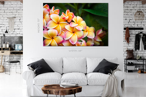 Impression sur toile - Fleurs de frangipanier colorées #E0699