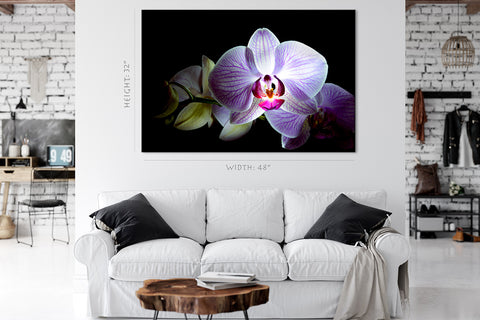 Impression sur toile - Belle fleur d'orchidée rose #E0661