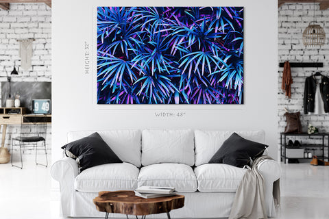 Canvas Print -  Exotic Palm Foliage #E0644