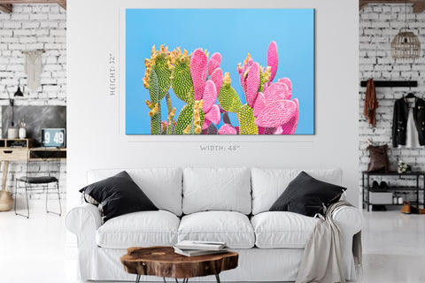 Impression Sur Toile - Cactus Vert Et Rose Sur Fond Bleu #E0810