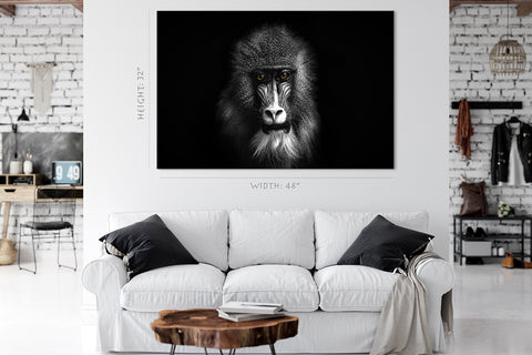 Canvas Print -  Portrait Of Baboon With Yellow Eyes #E1027