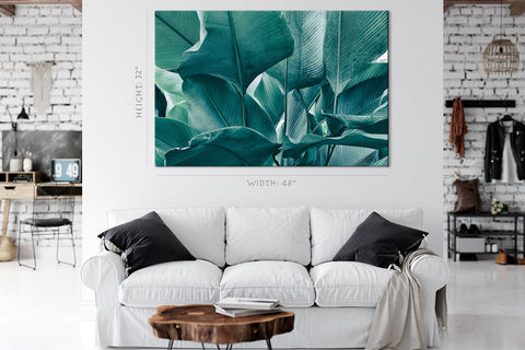 Canvas Print -  Big Foliage In Rainforest #E0645