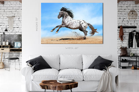 Impression sur toile - Cheval Appaloosa #E0903