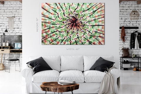 Impression sur toile - Cactus épineux #E0637