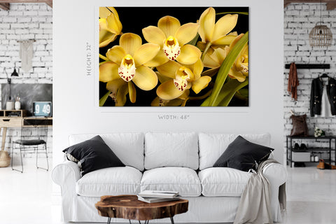 Impression sur toile - Orchidées jaunes #E0684