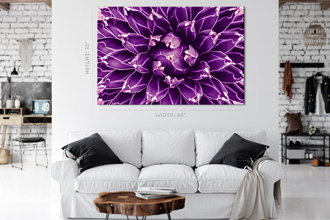 Canvas Print -  Agave Cactus, Violet Toned #E0647