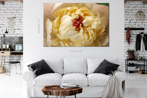 Impression sur toile - Pivoine blanche #E0697