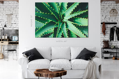 Canvas Print -  Green Aloe #E0703