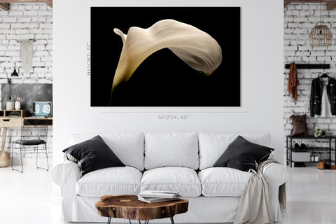 Canvas Print -  Big White Arum Lily #E0686