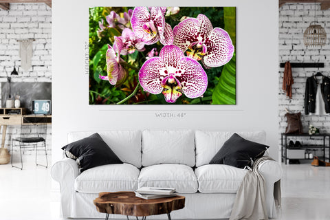 Impression sur toile - Orchidée blanche et violette #E0678