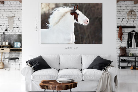 Canvas Print -  Portrait Of White Horse #E1016
