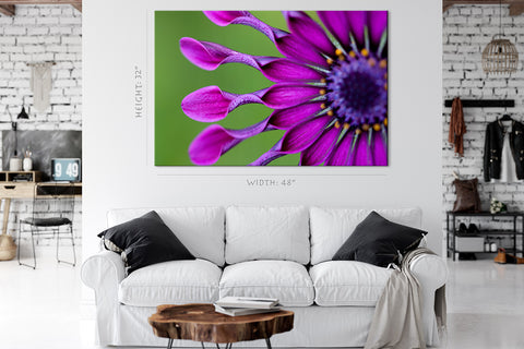 Canvas Print -  Osteospermum Tropical Flower #E0720