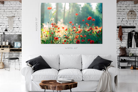 Canvas Print -  Early Morning Light At Red Poppies #E0627