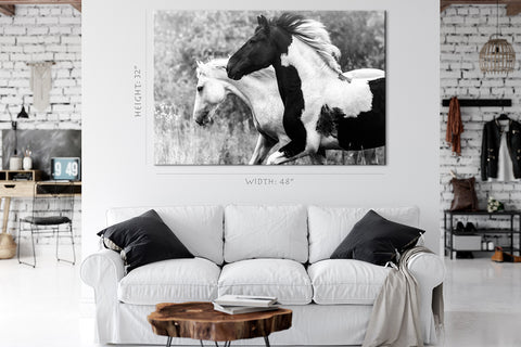 Canvas Print -  Two Horses In Forest #E0913