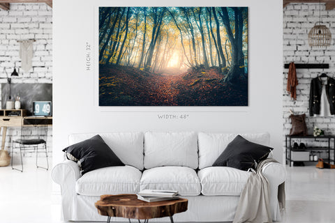 Canvas Print -  Scenery with trail in foggy forest #E0120