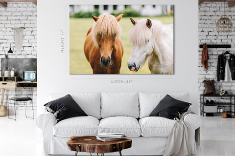 Impression sur toile - Portrait de beaux chevaux #E0908