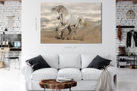 Impression sur toile - Cheval andalou dans le désert #E0890