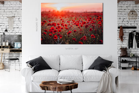 Impression sur toile - Champ de feu de coquelicots rouges au coucher du soleil #E0629