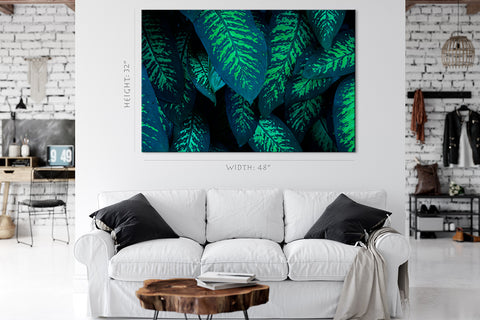 Canvas Print -  Tropical Foliage #E0825