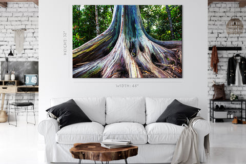 Canvas Print -  Rainbow Eucalyptus Tree In Maui Island, Hawaii #E0971