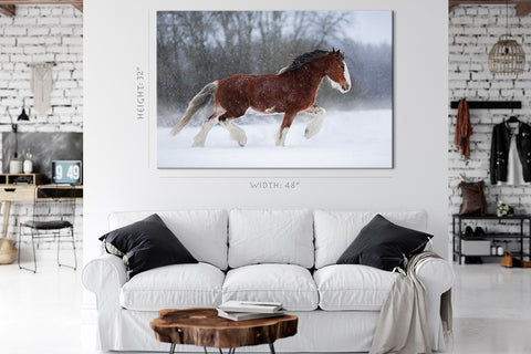 Canvas Print -  Brown Heavy Horse In Winter #E1014