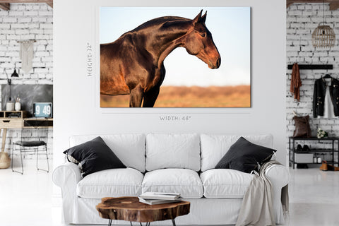 Canvas Print -  Portrait Of A Brown Horse #E0954