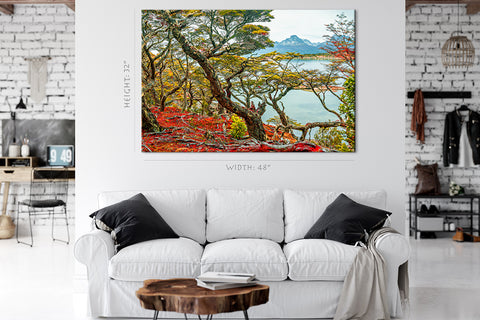 Impression sur toile - Forêt australe magique dans le parc national Tierra Del Fuego #E0967