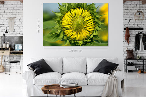 Impression sur toile - Tournesol en fleurs #E0695