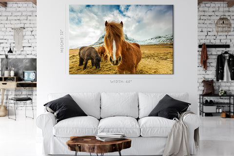 Impression sur toile - Chevaux dans les montagnes, Islande #E0892