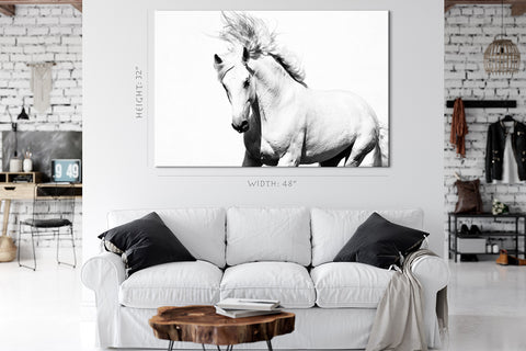 Impression sur toile - Cheval Arabe Blanc #E0911