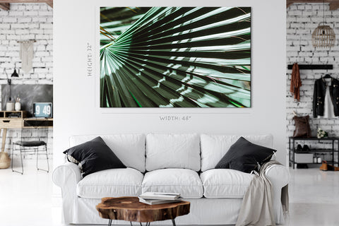 Canvas Print -  Sunlight At Green Palm Branch #E0715