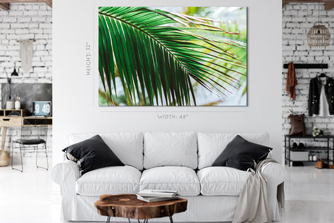 Canvas Print -  Morning Light At Green Palm Branch #E0714