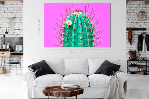 Canvas Print -  Green Cactus On Pink Background #E0804