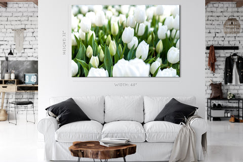 Impression sur toile - Tulipes blanches #E0739