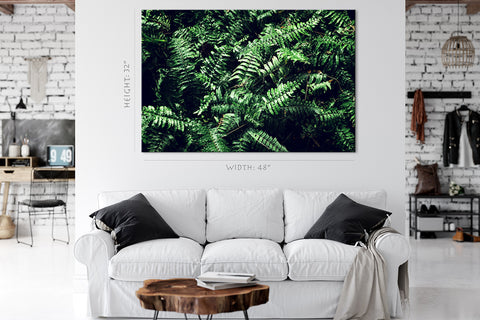 Canvas Print -  Fern Leafs #E0822