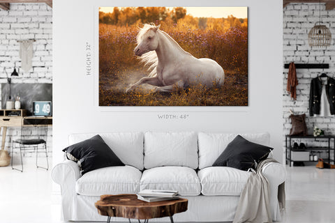 Impression sur toile - Poney gallois blanc dans le champ en fleurs #E0919