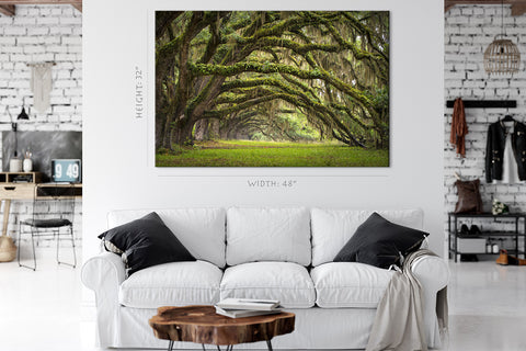 Impression sur toile - Oaks Avenue Charleston #E0958