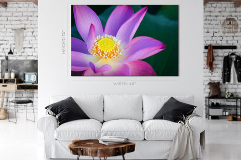 Impression sur toile - Fleur de lotus sur l'étang #E0635