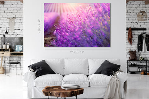 Impression sur toile - Fleurs de lavande en fleurs #E0791