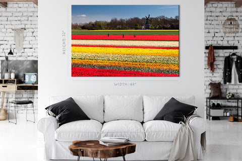 Canvas Print -  Field Of Tulips, Netherlands #E0748