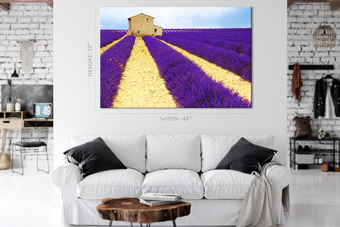 Impression sur toile - Beau champ de lavande #E0749