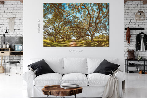 Impression sur toile - Vue panoramique de la plantation d'Oak Alley, Louisiane #E0960