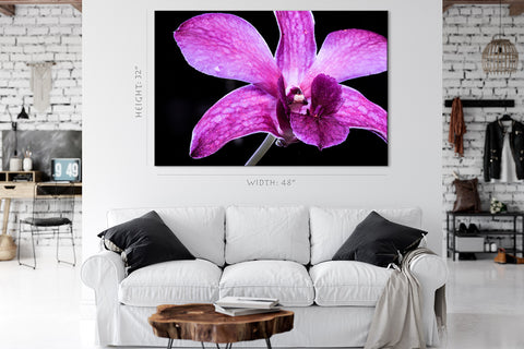 Impression sur toile - Orchidée rose #E0663