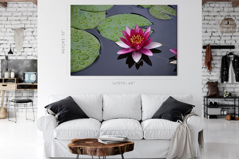 Canvas Print -  Purple Water Lily On The Pond #E0837