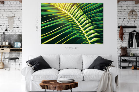 Canvas Print -  Sunlight Shining On Tropical Palm Leaf #E0641