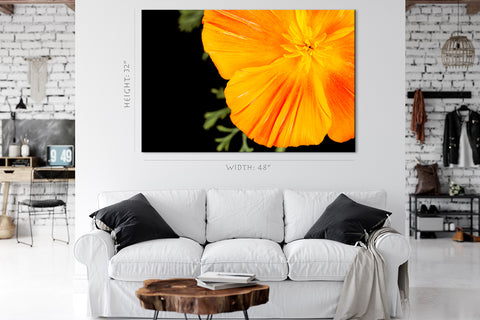 طباعة قماش - Orange Eschscholzia #E0677