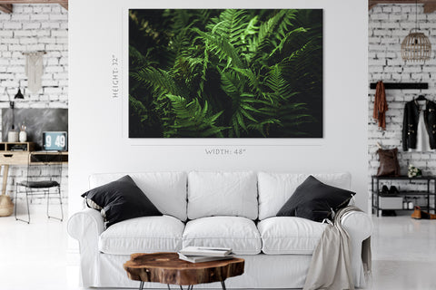 Canvas Print -  Green Fern Leafs #E0817