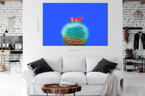 Canvas Print -  Blooming Cactus On Blue Background #E0809