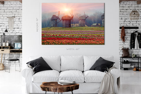 Impression sur toile - Plantation de tulipes et vieux moulins #E0730